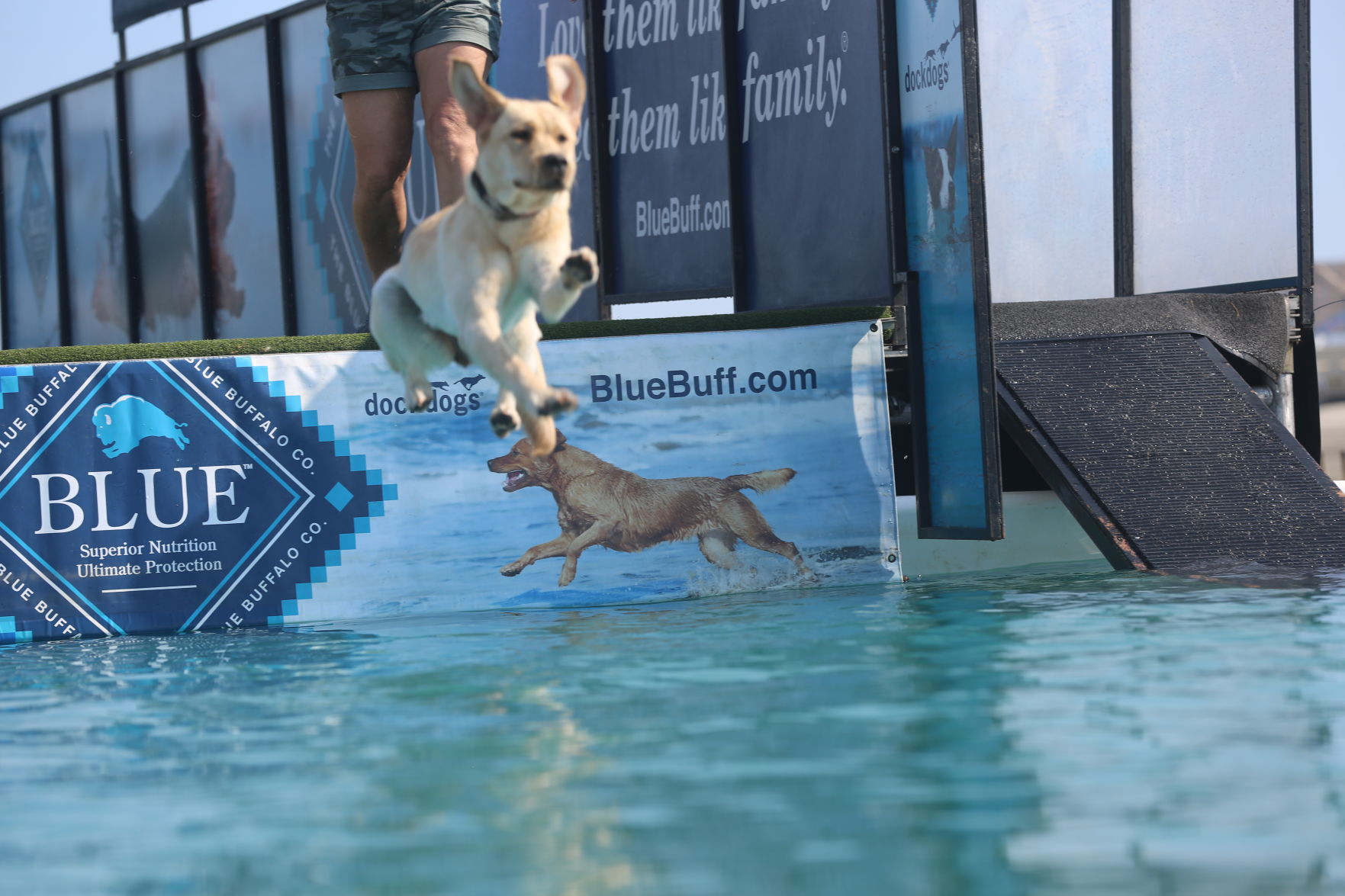 090919_gal_dockdogsWW (44)